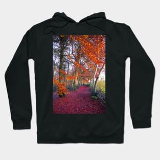 Autumnal Westridge Woods, Cotswolds Hoodie